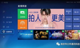 电视频道直播在线观看,电视频道在线观看指南